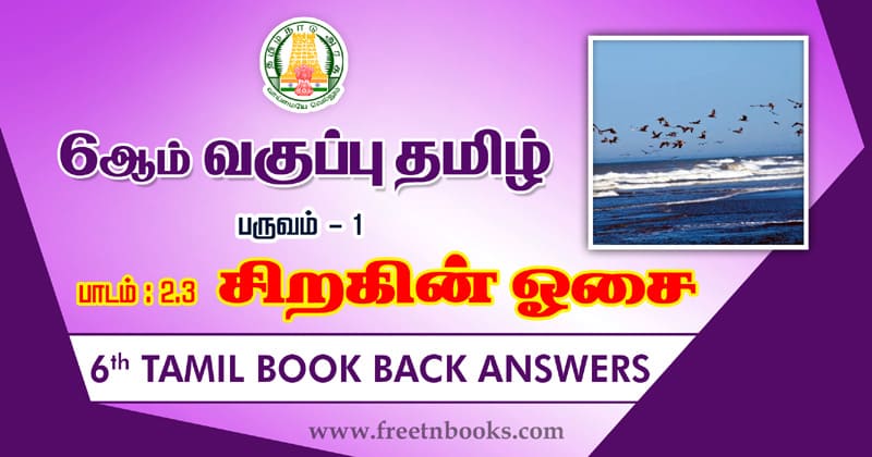 6th Std Tamil சிறகின் ஓசை வினா விடை