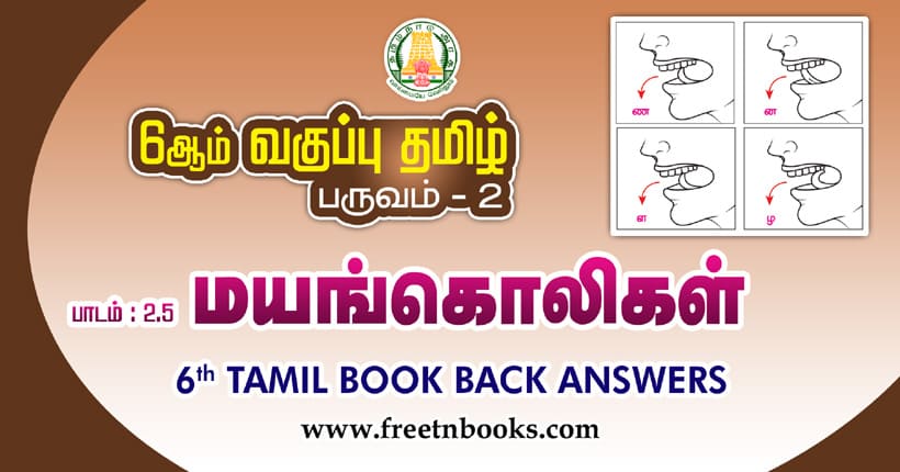 6th Std Tamil மயங்கொலிகள் Book Back Answers