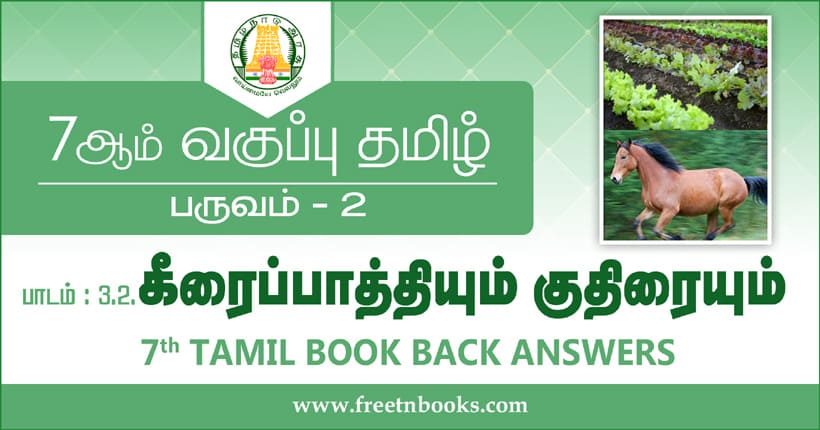 7ஆம் வகுப்பு கீரைப்பாத்தியும் குதிரையும் வினா விடைகள்
