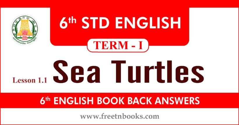 6th Standard English Book Term 1 - Sea Turtles Book Back Answers