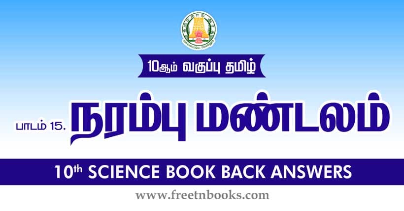 நரம்பு மண்டலம் - Book Back Answer