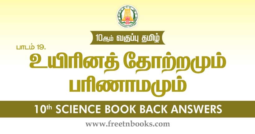 உயிரின தோற்றமும் பரிணாமமும் - Book Back Answer