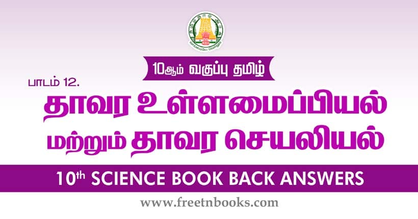 தாவர உள்ளைமப்பியல் மற்றும் தாவர செயலியல் - Book Back Answer