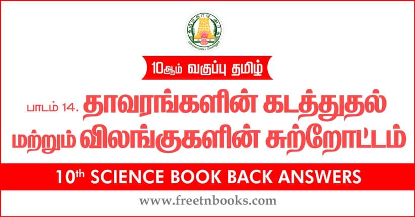 தாவரங்களின் கடத்துதல் மற்றும் விலங்குகளின் சுற்றோட்டம் - Book Back Answer