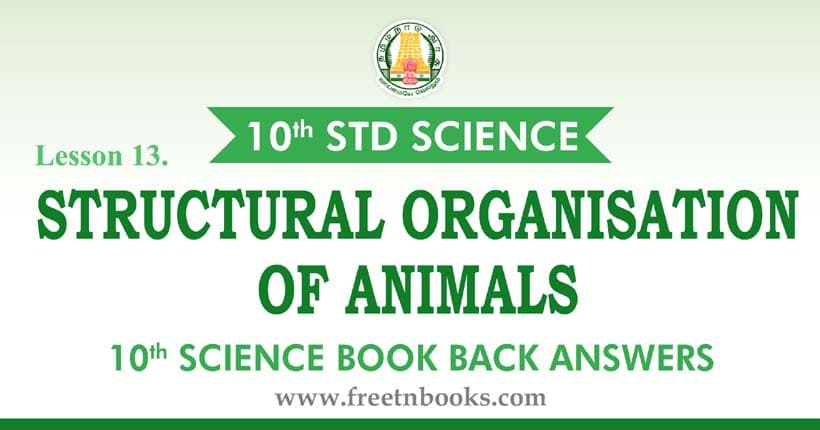 Structural Organisation of Animals - Book Back Answer
