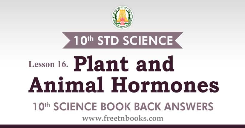 10th Std Science Guide in English | Plant and Animal Hormones 10th Std Science Guide in English | Plant and Animal Hormones