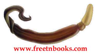 9th Science Guide Animal Kingdom Answers in English-Subphylum Hemichordata