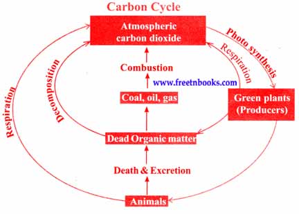 9th Science Guide Environmental Science Answers in English a