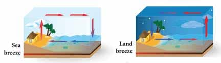 Breezes - Heat Book Back Answers