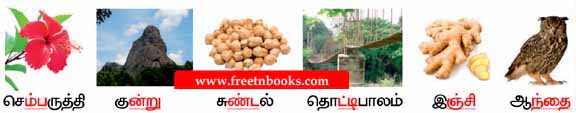 3rd Standard Tamil - Ezhil Konjum Aruvi - விடுபட்ட இடங்களில் சரியான இனஎழுத்துகளை நிரப்பலாமா?