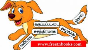 3rd Standard Tamil - Naaum Onaaum - சரியான சொல்லால் நிரப்புக