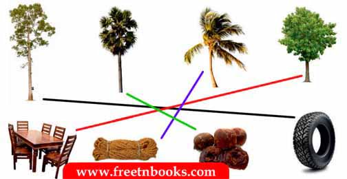 3rd Standard Tamil - Ondru Pattal Undu Vazhvu - எந்த மரத்திலிருந்து என்ன பொருள்? பொருத்துவோமா?