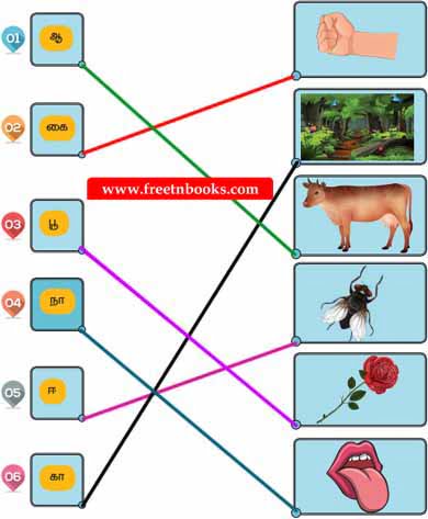 4th Standard Tamil Back Answer - Panaimara Sirappu - பொருத்துக