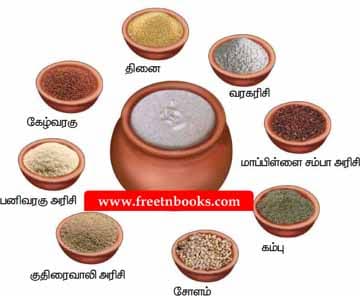 4th Standard Tamil Book 1st Term Solution - Vidiyum Velai - பத்தியைப் படித்து வினாக்களுக்கு விடையளிக்க.