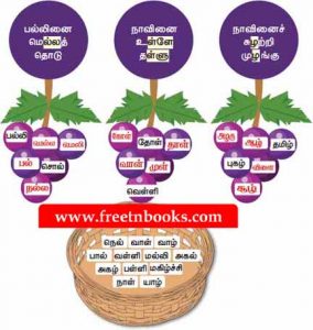 4th Standard Tamil Book 1st Term Solution - muyal arasan - காலியிடங்களைக் கூடையில் உள்ள சொற்களைக் கொண்டு நிரப்புக