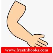 5th Standard Tamil Book 2nd Term Solution - மூவிடப்பெயர்கள் - ஒரே ஓசையில் முடியும் பெயர்களைக் கொண்ட படங்களை இணைக்க.