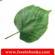 5th Standard Tamil Book 2nd Term Solution - மூவிடப்பெயர்கள் - ஒரே ஓசையில் முடியும் பெயர்களைக் கொண்ட படங்களை இணைக்க.
