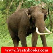 5th Standard Tamil Book 2nd Term Solution - மூவிடப்பெயர்கள் - ஒரே ஓசையில் முடியும் பெயர்களைக் கொண்ட படங்களை இணைக்க.