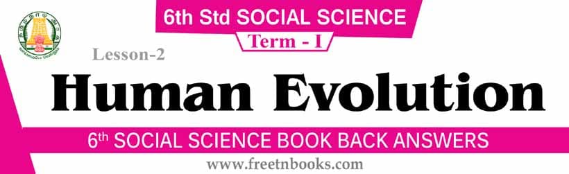 6th Standard Social Science Guide in English | Human Evolution