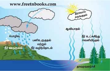 நீரியல் சுழற்சி 