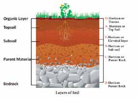 8th Std Social Science Guide in English | Rocks and Soils
