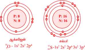 9th Science Guide Atomic Structure Answers in Tamil OXygen & Sulphur