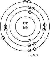 9th Science Guide Atomic Structure Answers in Tamil Phosphorus
