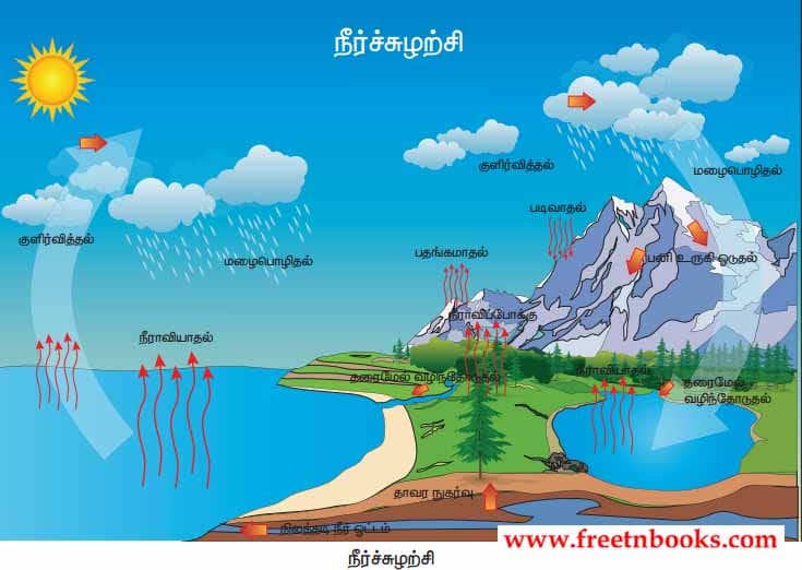 9th Science Guide Environmental Science Answers in Tamil Water cycle