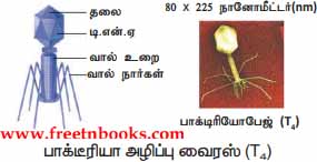 9th Science Guide World of Microbes Answers in Tamil Animal virus