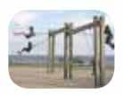 Force and Motion