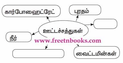 உடல் நலமும் சுகாதாரமும் பாட விடைகள் - 2021