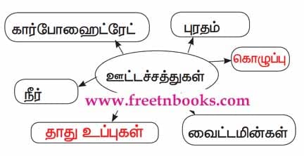 உடல் நலமும் சுகாதாரமும் பாட விடைகள் - 2021