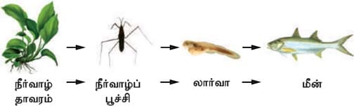 நமது சுற்றுச்சூழல் பாட விடைகள் 2021