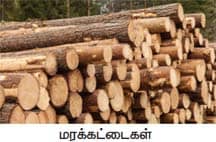 அன்றாட வாழ்வில் தாவரங்கள் பாட விடைகள் 2021