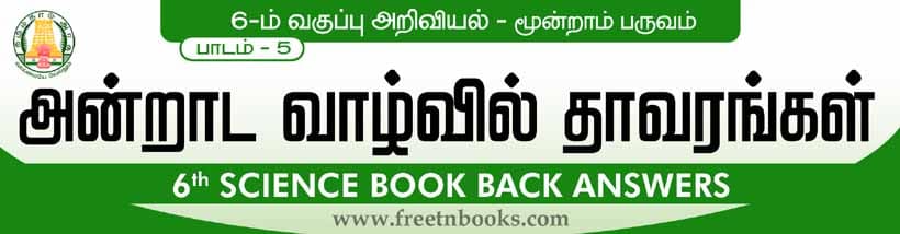 அன்றாட வாழ்வில் தாவரங்கள் பாட விடைகள் 