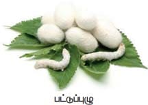 அன்றாட வாழ்வில் தாவரங்கள் பாட விடைகள் 2021