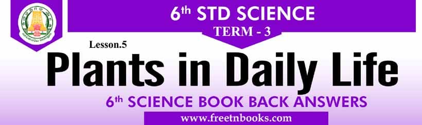 Mango tree essay for std 3 image