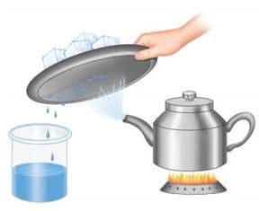 நம்மைச்சுற்றி நிகழும் மாற்றங்கள் பாட விடைகள் 