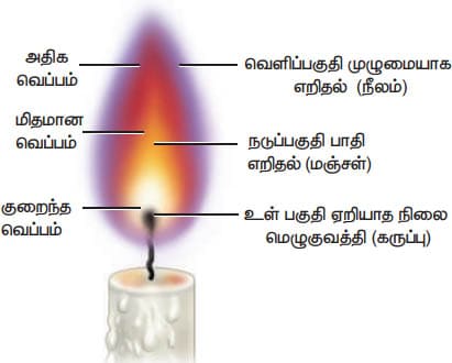 அன்றாட வாழ்வில் வேதியியல் பாட விடைகள்