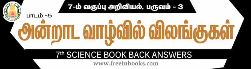 அன்றாட வாழ்வில் விலங்குகள் பாட விடைகள்