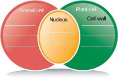 Cell Biology Book Back Solution 2021 - 2022