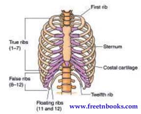 Movements Book Back Solution