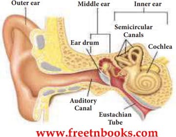 Sound Book Back Solution 2021 - 2022
