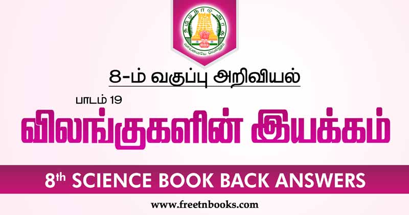 8th-Std-Science-Book-Back-Answers in Tamil Lesson-19