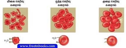 8ஆம் வகுப்பு அறிவியல். உயிரினங்களின் அமைப்பு நிலைகள் Book Back Solution - 2021