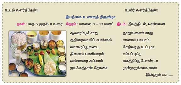 11ஆம் வகுப்பு தமிழ், மெய்ம்மயக்கம் பாட விடைகள் - 2021