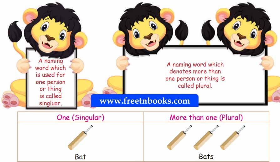 4th Standard English - A World with Robots - Some tips to change singular to plural