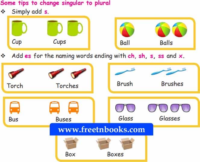 4th Standard English - A World with Robots - Some tips to change singular to plural