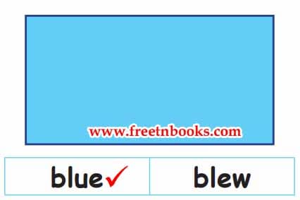 Anbu And The Fish - Look at the picture and tick the correct word.