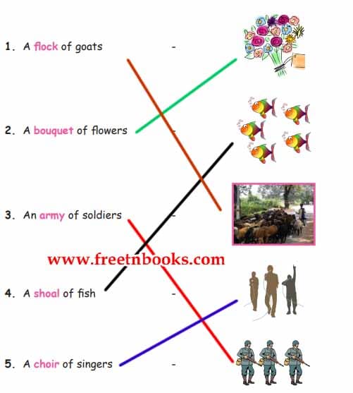 Beyond the Universe - Match the picture with the collective nouns